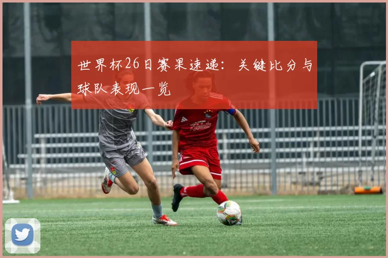 世界杯26日赛果速递：关键比分与球队表现一览