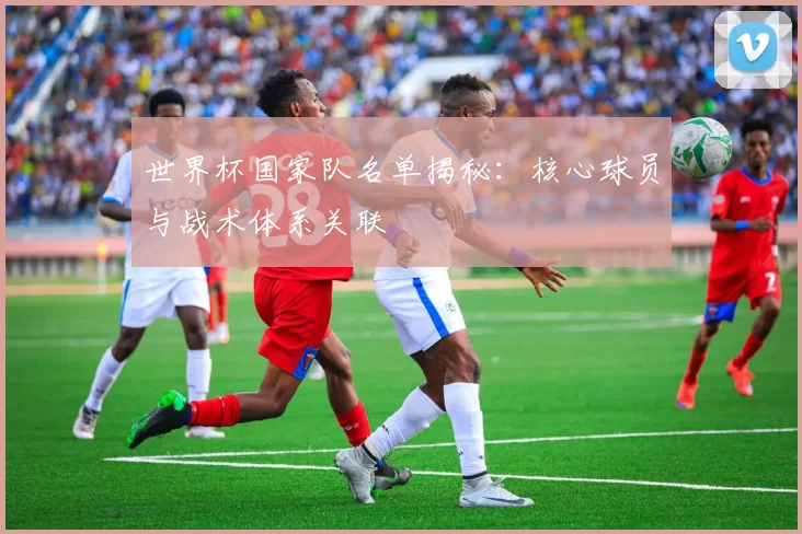 世界杯国家队名单揭秘：核心球员与战术体系关联