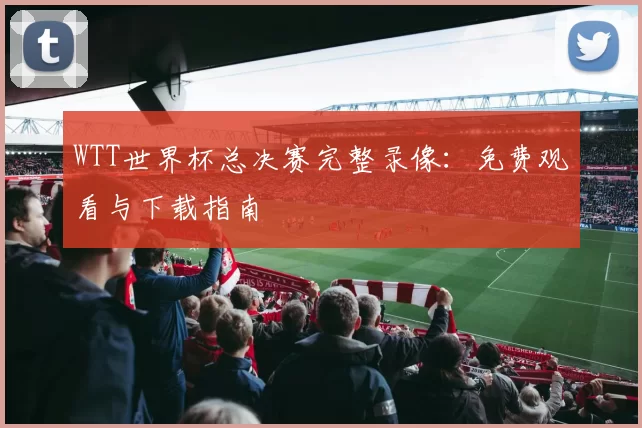 WTT世界杯总决赛完整录像：免费观看与下载指南