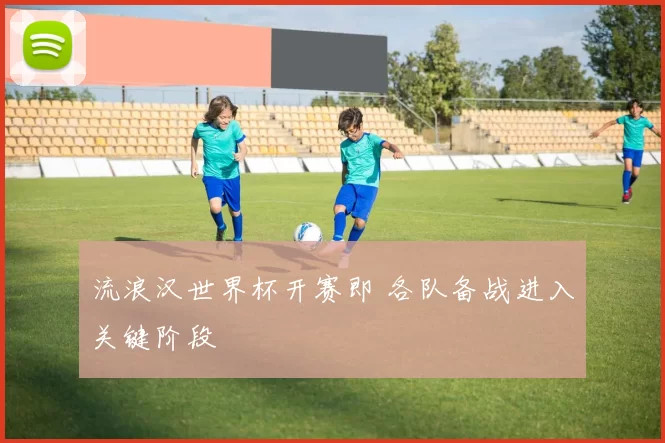 流浪汉世界杯开赛即 各队备战进入关键阶段