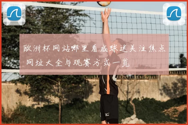 欧洲杯网站哪里看成球迷关注焦点 网址大全与观赛方式一览