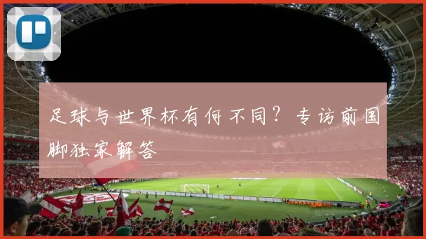 足球与世界杯有何不同？专访前国脚独家解答