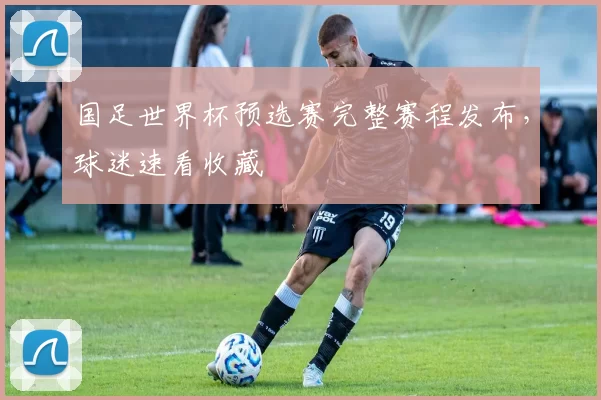 国足世界杯预选赛完整赛程发布，球迷速看收藏